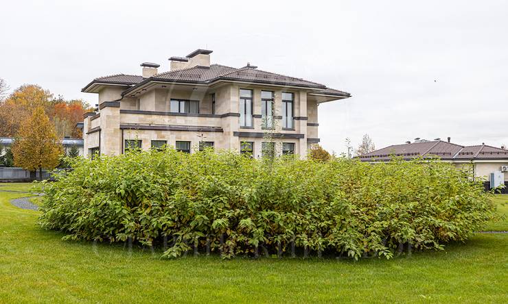 Лот-9757-285125 продажа дома Рублево-Успенское шоссе Барвиха XXI (21)