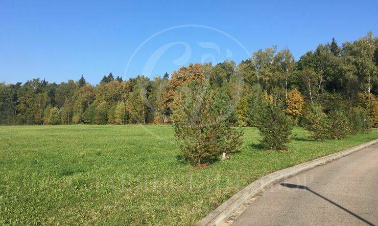 Лот-9762-285228 продажа участка Рублево-Успенское шоссе Дарьино-Успенское