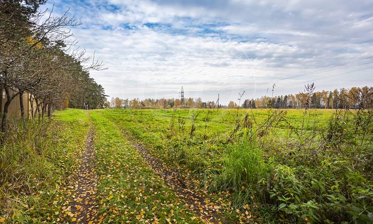 Лот-9806-286674 продажа дома Рублево-Успенское шоссе Борки