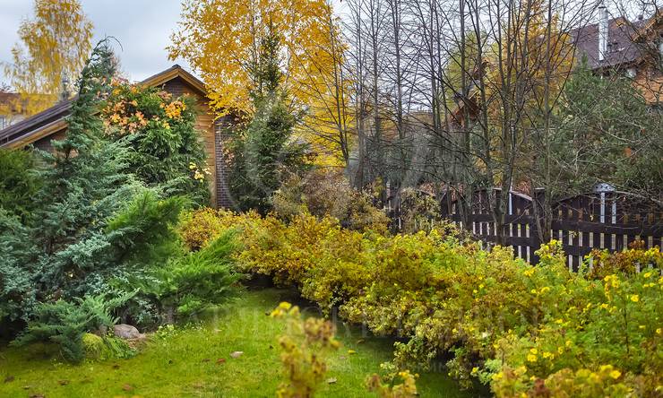 Лот-9776-286931 аренда дома Волоколамское шоссе Нахабино Кантри