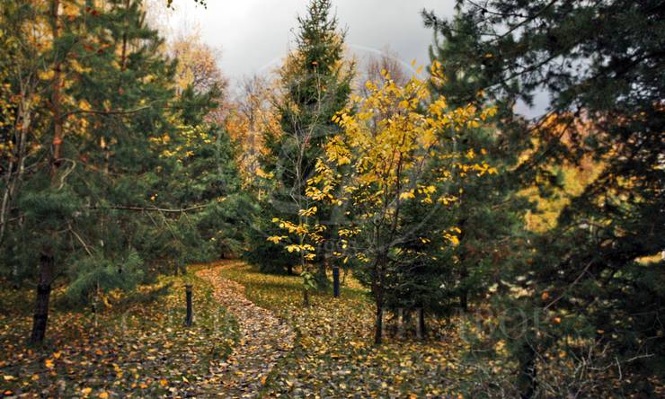 Лот-3426-288677 аренда дома Рублево-Успенское шоссе Знаменское поле