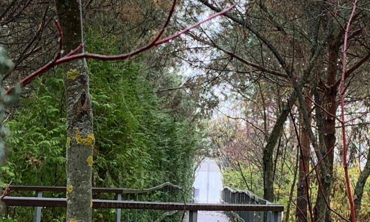 Лот-9938-291488 аренда дома Новорижское шоссе Чистые пруды [Новорижское шоссе]