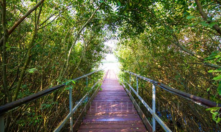 Лот-9938-291491 аренда дома Новорижское шоссе Чистые пруды [Новорижское шоссе]