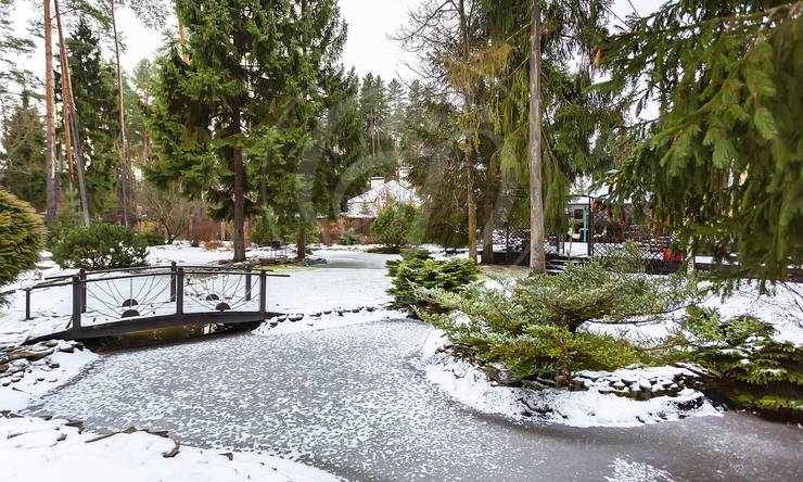 Лот-1991-292170 аренда дома Рублево-Успенское шоссе Сосновый Бор