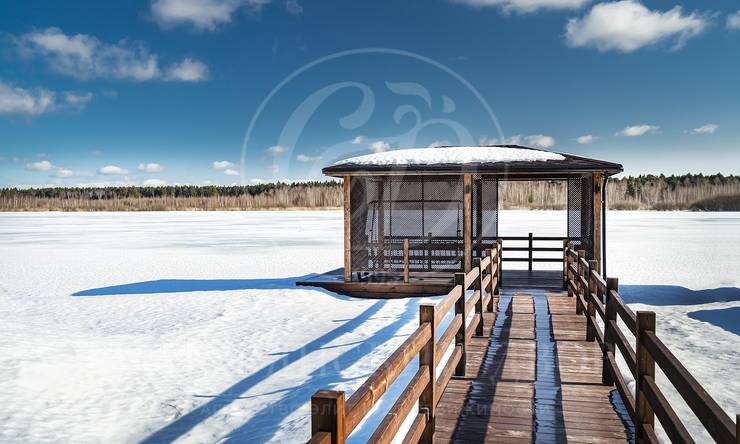 Лот-9603-300874 аренда дома Новорижское шоссе Чистые пруды [Новорижское шоссе]