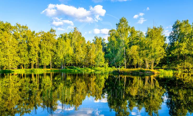 Самый большой участок в поселке с озером, рестораном, прогулочной зоной в лесу