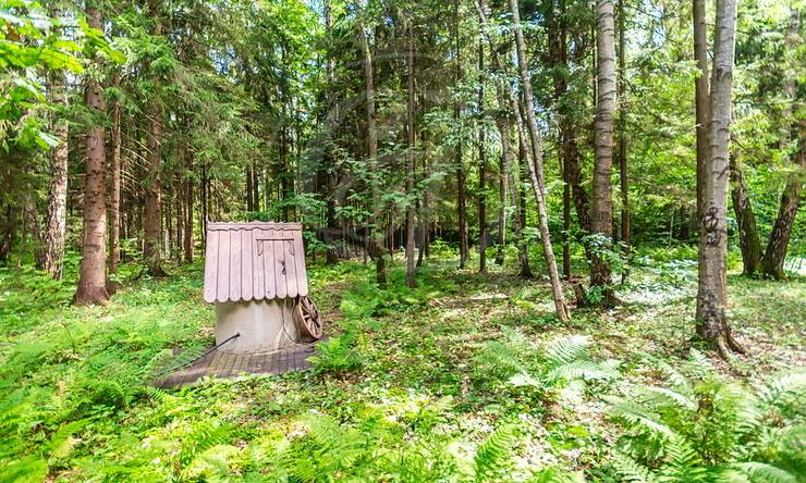 Лот-10361-309517 продажа дома Киевское шоссе Ново-Спасское