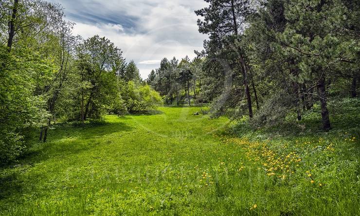 Лот-10349-313664 продажа дома Рублево-Успенское шоссе Сареево Большое