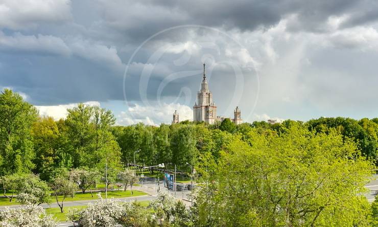 Лот-12591-313958 Аренда квартиры Воробьевы горы