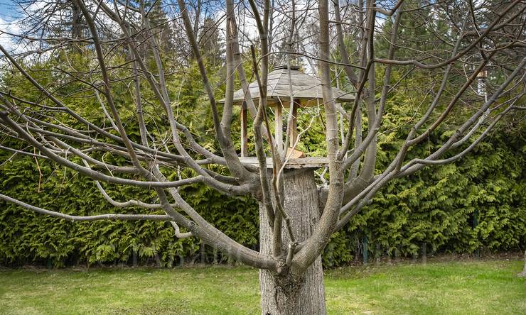 Лот-10436-314738 аренда дома Минское шоссе Грибово