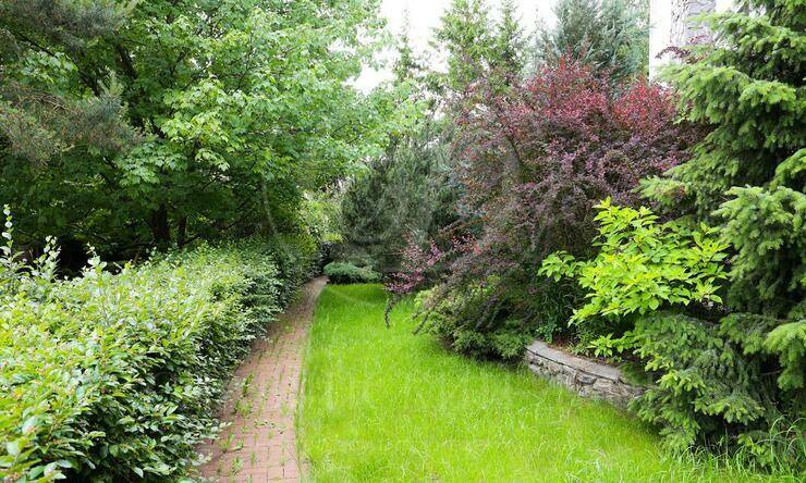 Лот-9653-316755 аренда дома Рублево-Успенское шоссе Барвиха-49 (Барвиха ГП1)