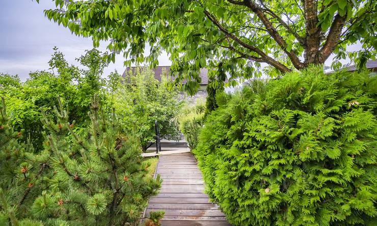 Лот-1688-316794 продажа дома Новорижское шоссе Кедры