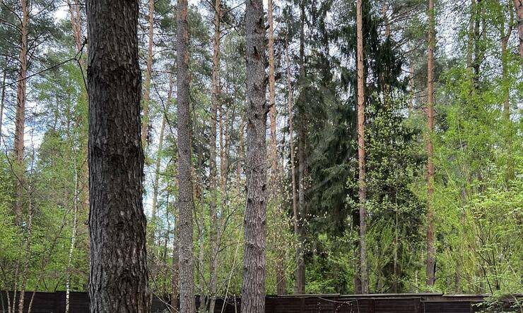 Лот-10496-318089 аренда дома 1-е Успенское шоссе Успенские Дачи