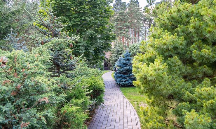 Лот-10512-320616 продажа дома Новорижское шоссе Бенилюкс