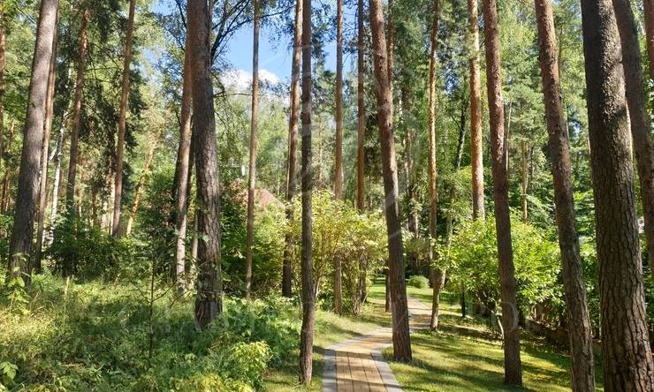 Лот-9536-326679 аренда дома Москва Серебряный бор