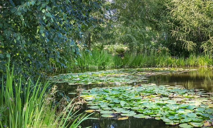 Лот-10601-326924 продажа дома Минское шоссе Трувиль