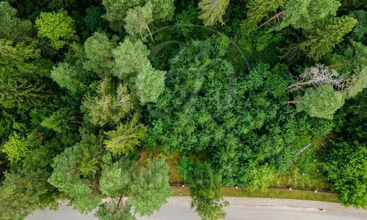 Лот-10641-327330 продажа участка Новорижское шоссе Истра