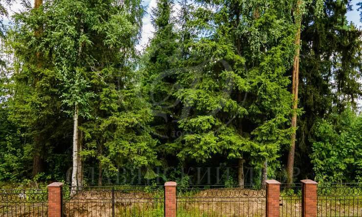 Лот-10641-327332 продажа участка Новорижское шоссе Истра