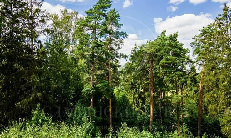 Лот-10641-327333 продажа участка Новорижское шоссе Истра