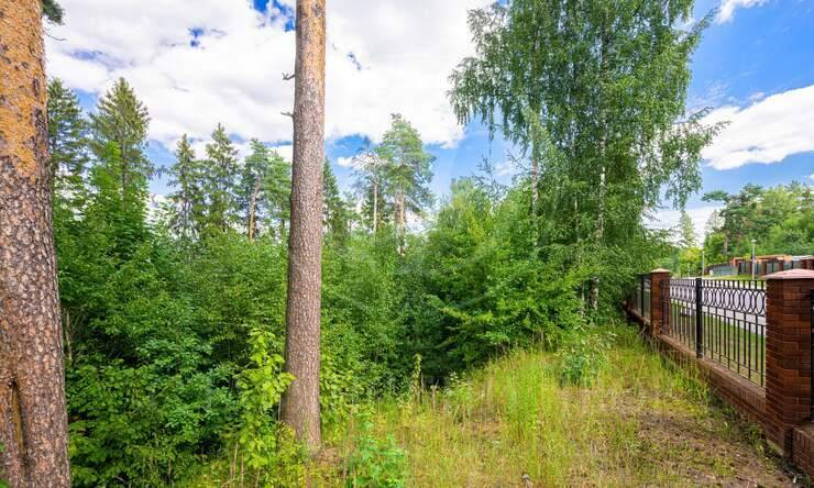 Лот-10641-327335 продажа участка Новорижское шоссе Истра