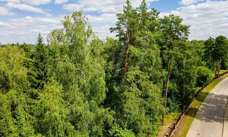 Лот-10641-327336 продажа участка Новорижское шоссе Истра