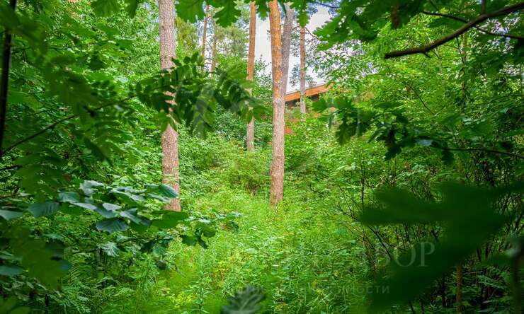 Лот-10641-327339 продажа участка Новорижское шоссе Истра