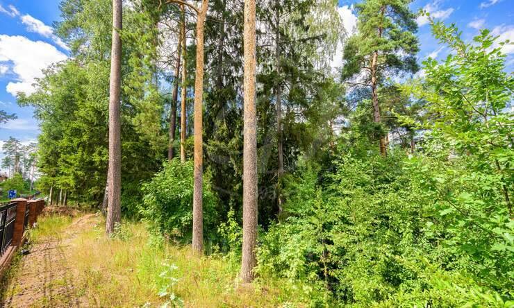 Лот-10641-327340 продажа участка Новорижское шоссе Истра