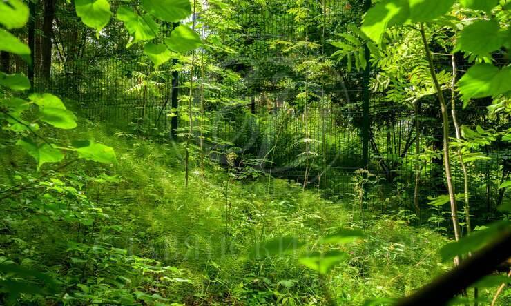 Лот-10641-327343 продажа участка Новорижское шоссе Истра