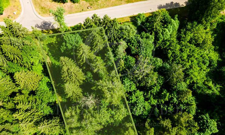 Лот-10642-327355 продажа участка Новорижское шоссе Истра