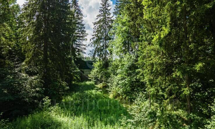 Лот-10642-327359 продажа участка Новорижское шоссе Истра