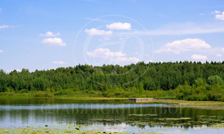 Лот-6446-329177 продажа дома Новорижское шоссе Новинки