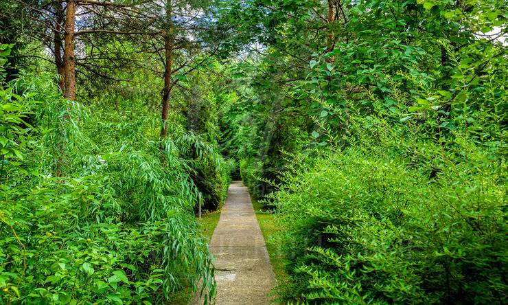 Лот-6446-329178 продажа дома Новорижское шоссе Новинки