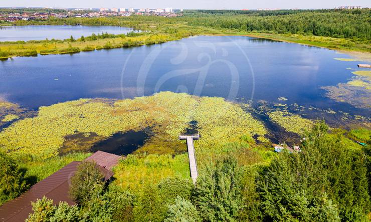 Лот-6446-329215 продажа дома Новорижское шоссе Новинки