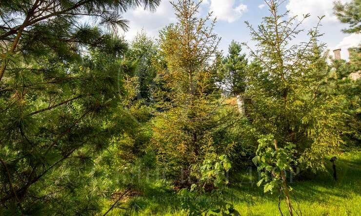 Лот-10691-329474 аренда дома Новорижское шоссе Княжье Озеро