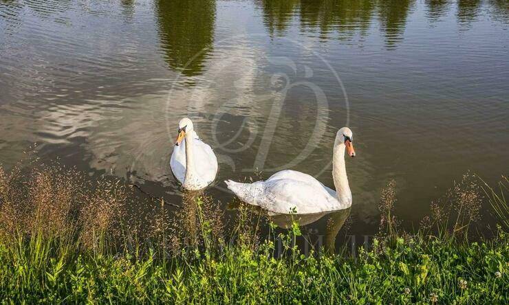 Лот-10711-330705 продажа дома Новорижское шоссе Madison Park (Мэдисон Парк)