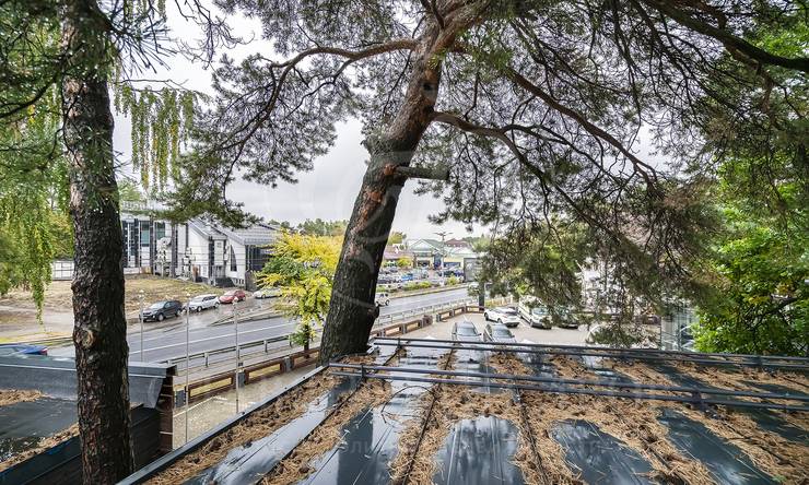 Лот-10730-331705 продажа дома Рублево-Успенское шоссе Жуковка