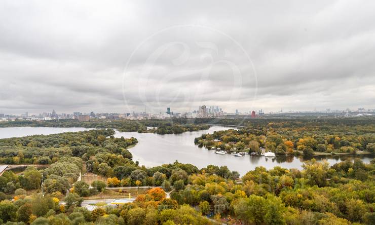 Лот-12742-332035 Продажа квартиры Северо-Запад