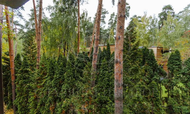 Лот-10802-336211 аренда дома Рублево-Успенское шоссе Серебряные ключи