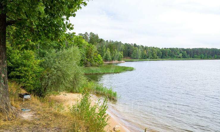 Лот-10822-337235 продажа участка Новорижское шоссе Истра