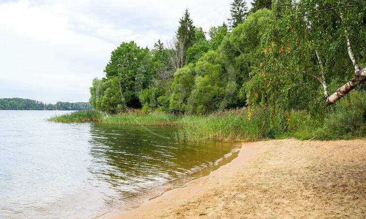 Лот-10822-337239 продажа участка Новорижское шоссе Истра