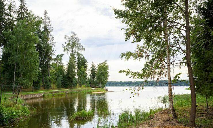 Лот-10822-337240 продажа участка Новорижское шоссе Истра