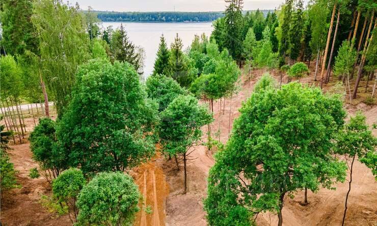 Лот-10822-337241 продажа участка Новорижское шоссе Истра