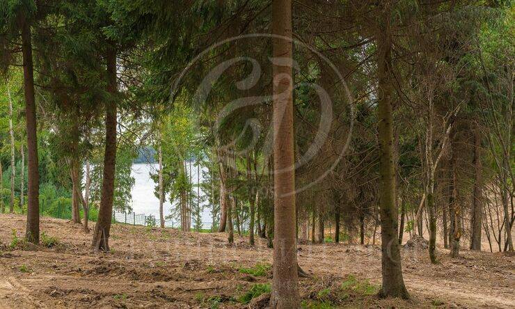 Лот-10822-337243 продажа участка Новорижское шоссе Истра