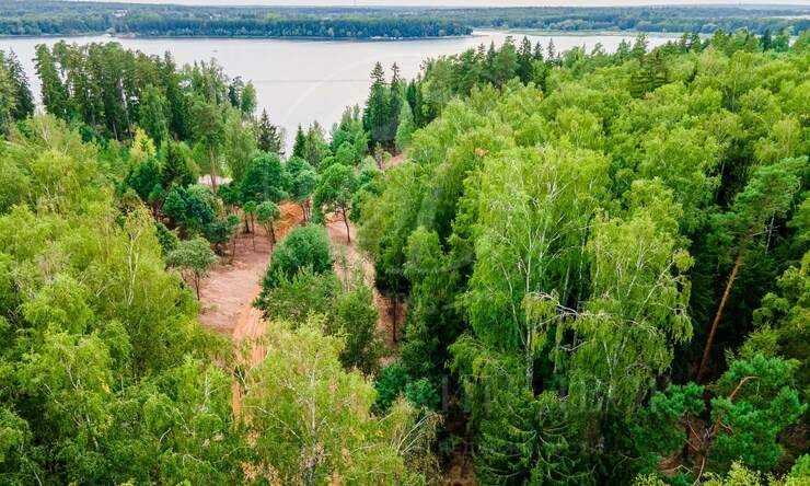 Лот-10822-337247 продажа участка Новорижское шоссе Истра