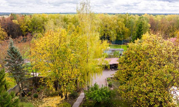 Лот-5862-337438 продажа дома Рублево-Успенское шоссе Горки-6