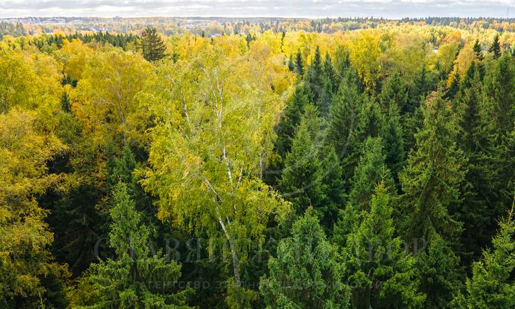 Лот-10830-337484 продажа участка 2-е Успенское шоссе Николино