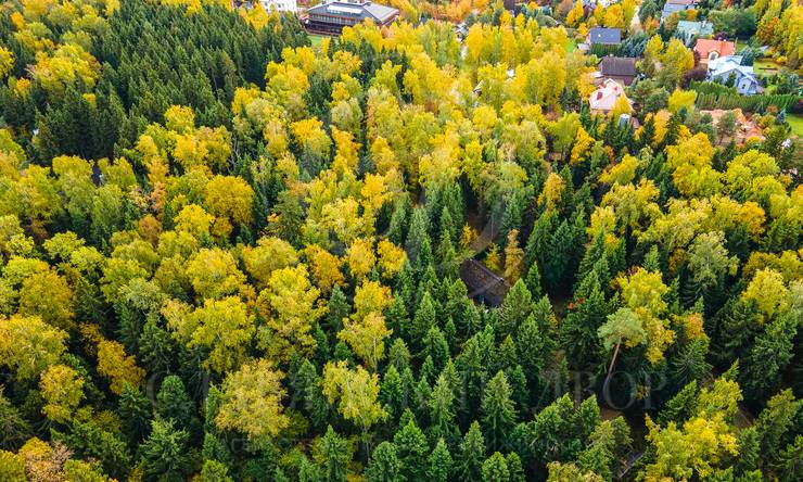 Лот-10830-337485 продажа участка 2-е Успенское шоссе Николино