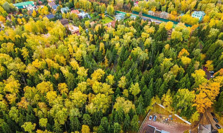 Лот-10830-337488 продажа участка 2-е Успенское шоссе Николино