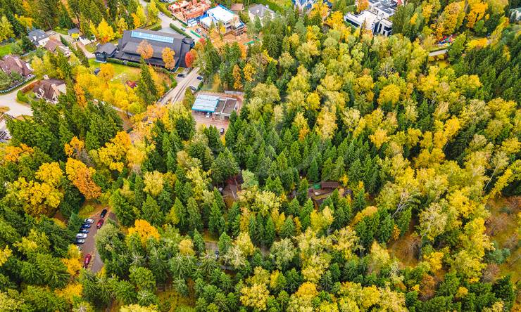 Лот-10830-337492 продажа участка 2-е Успенское шоссе Николино