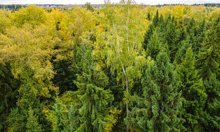 Лот-10830-337495 продажа участка 2-е Успенское шоссе Николино